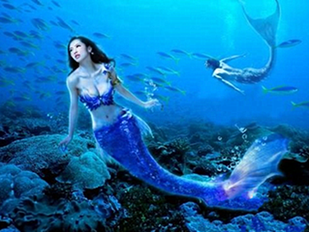 http://m.4000500521.com//upimg/seot/t20161103180128589.png