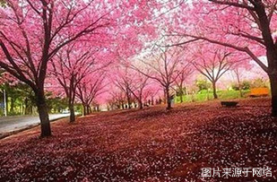 http://m.4000500521.com//upimg/seot/t20161219142324159.jpg