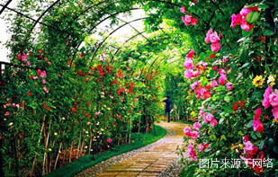 http://m.4000500521.com//upimg/seot/t20161219154823264.jpg