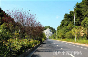 http://m.4000500521.com//upimg/seot/t20170725135906391.jpg