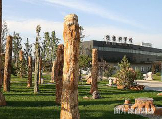http://m.4000500521.com//upimg/seot/t20190702164554230.jpg